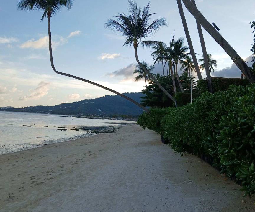 Photo of Outdoor in Maret