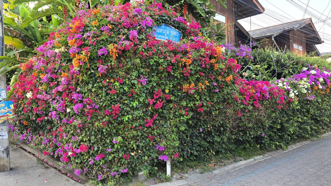 Photo of Outdoor in Old City