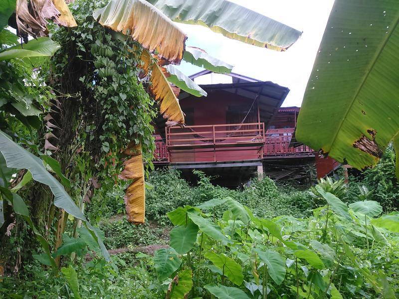Photo of Others in Pai