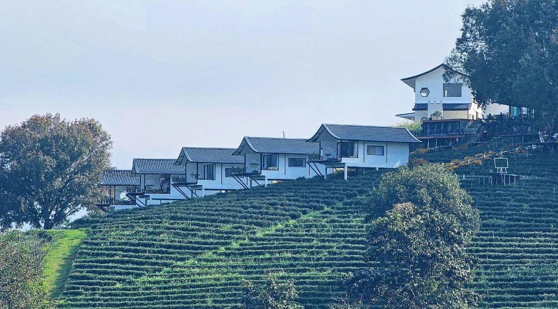 Photo of Others in Mae Fa Luang