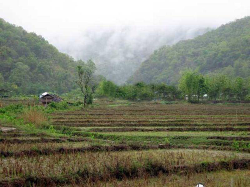 Photo of Others in Pai