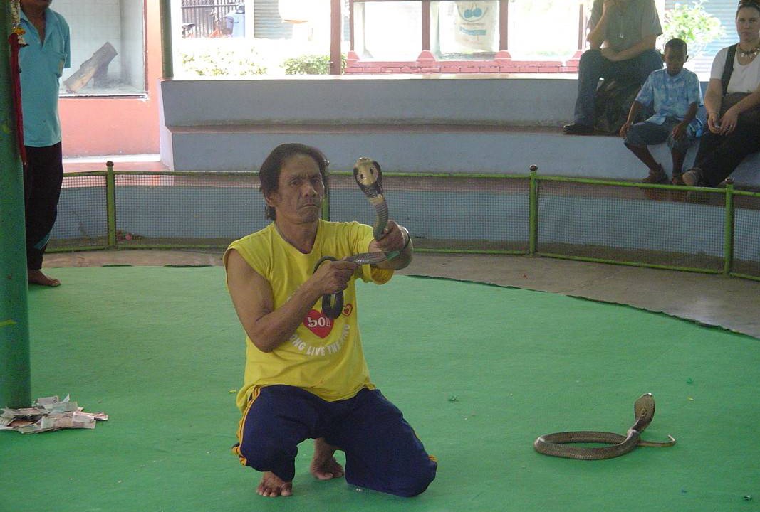 Photo of Others in Suan Luang