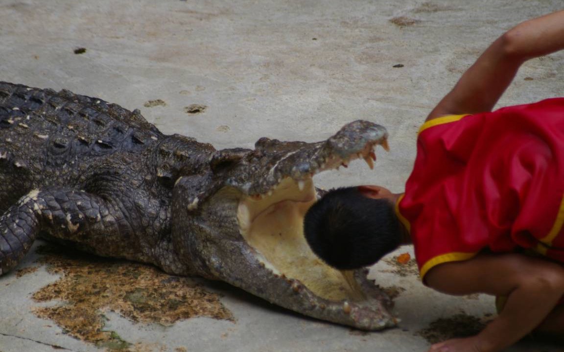 Photo of Others in Suan Luang