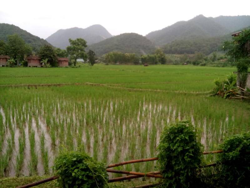 Photo of Others in Pai