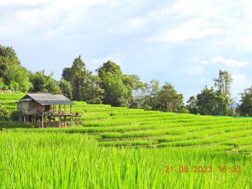 Photo of Others in Mae Chaem