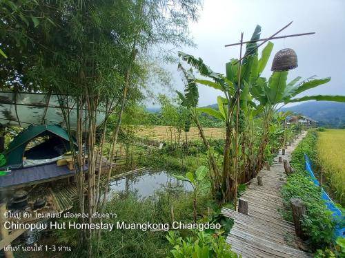 Photo of Others in Chiang Dao