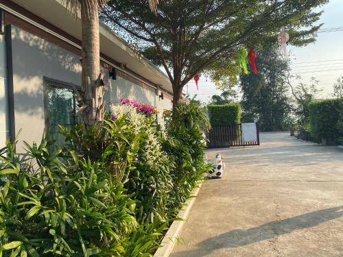Photo of Others in Banphot Phisai