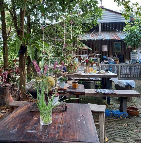 Photo of Others in Mae Taeng