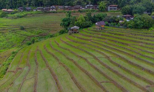 Photo of Others in Mae Chaem