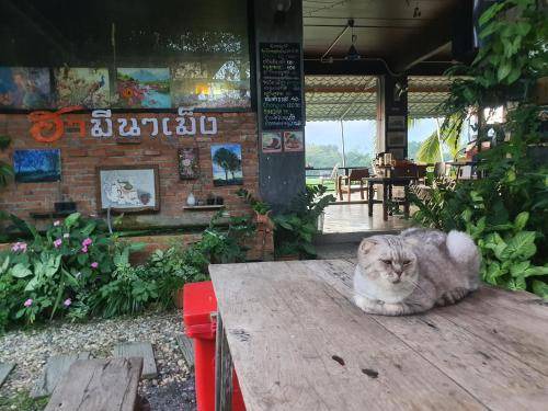 Photo of Others in Phrao