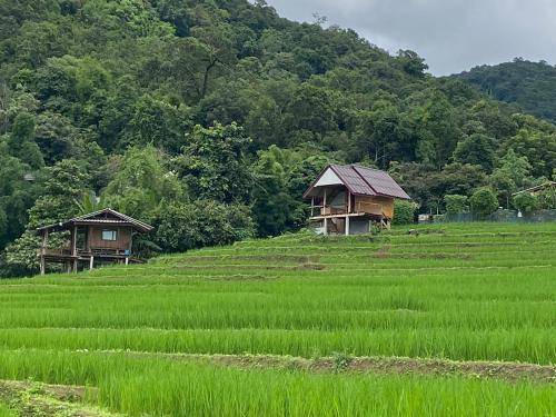 Photo of Others in Mae Chaem