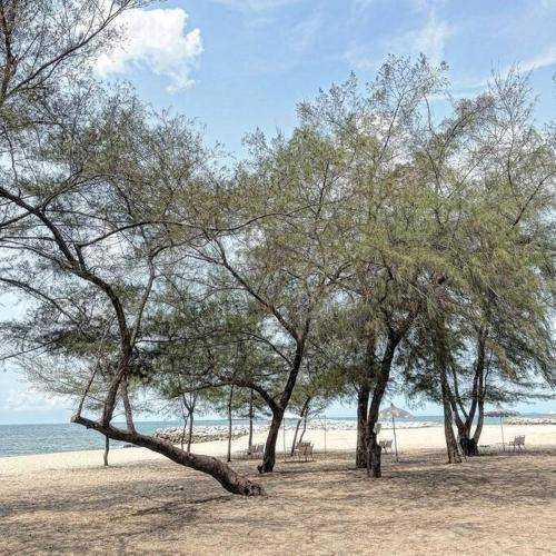 Photo of Others in Rayong