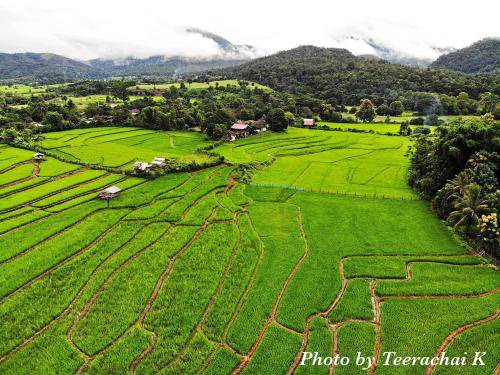 Photo of Others in Chiang Dao