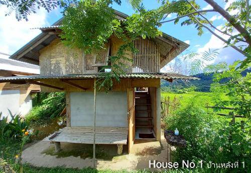 Photo of Others in Chiang Dao