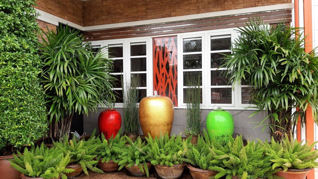 Photo of Outdoor in Phu Khiao