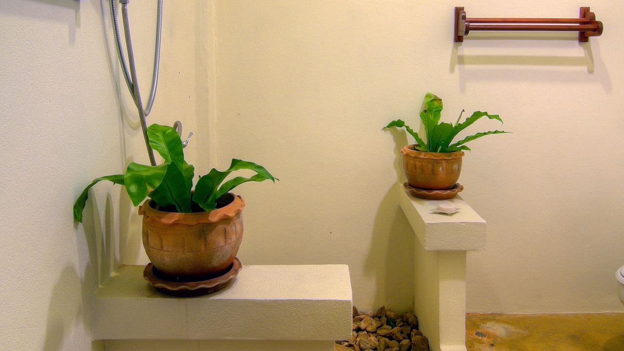 Photo of Bathroom in Mae Ai
