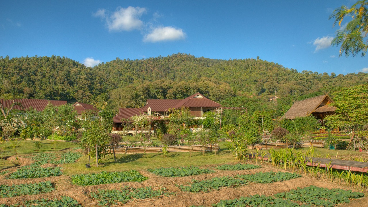 Photo of Outdoor in Mae Ai