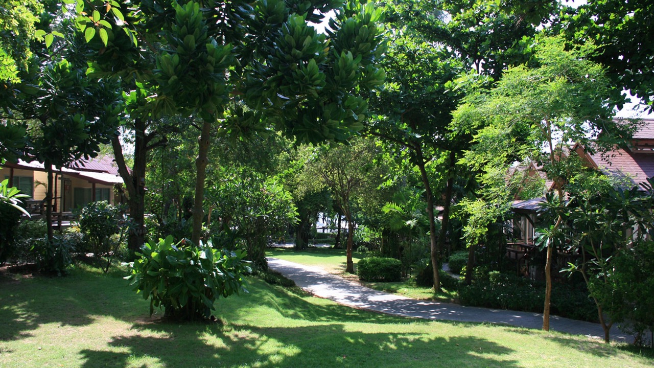 Photo of Outdoor in Baan Tai