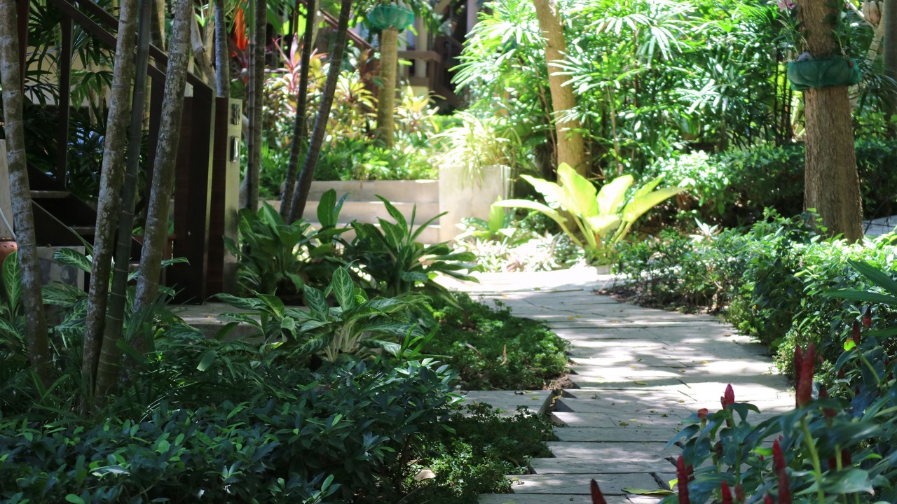 Photo of Outdoor in Baan Tai