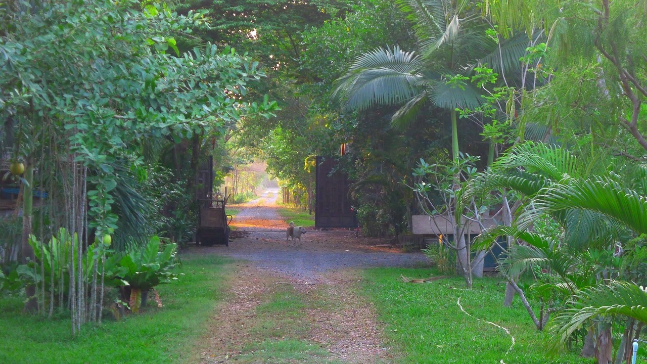 Photo of Outdoor in Nong Chok