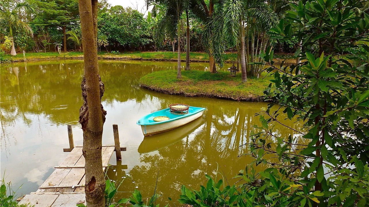 Photo of Outdoor in Nong Chok