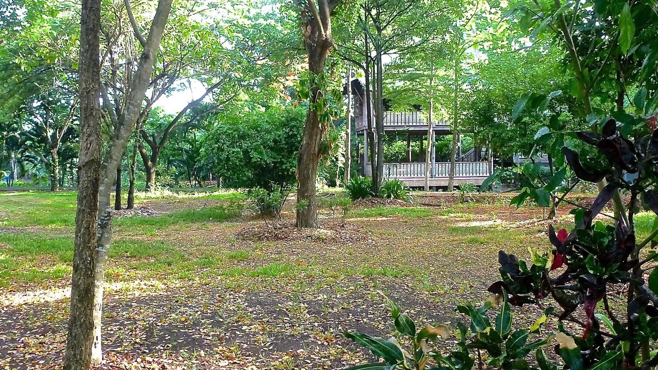 Photo of Outdoor in Nong Chok