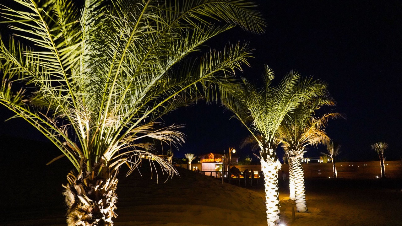 Photo of Outdoor in Dubai