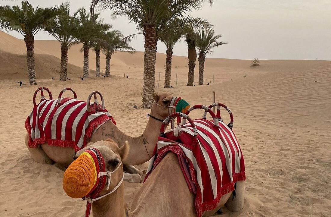 Photo of Others in Dubai