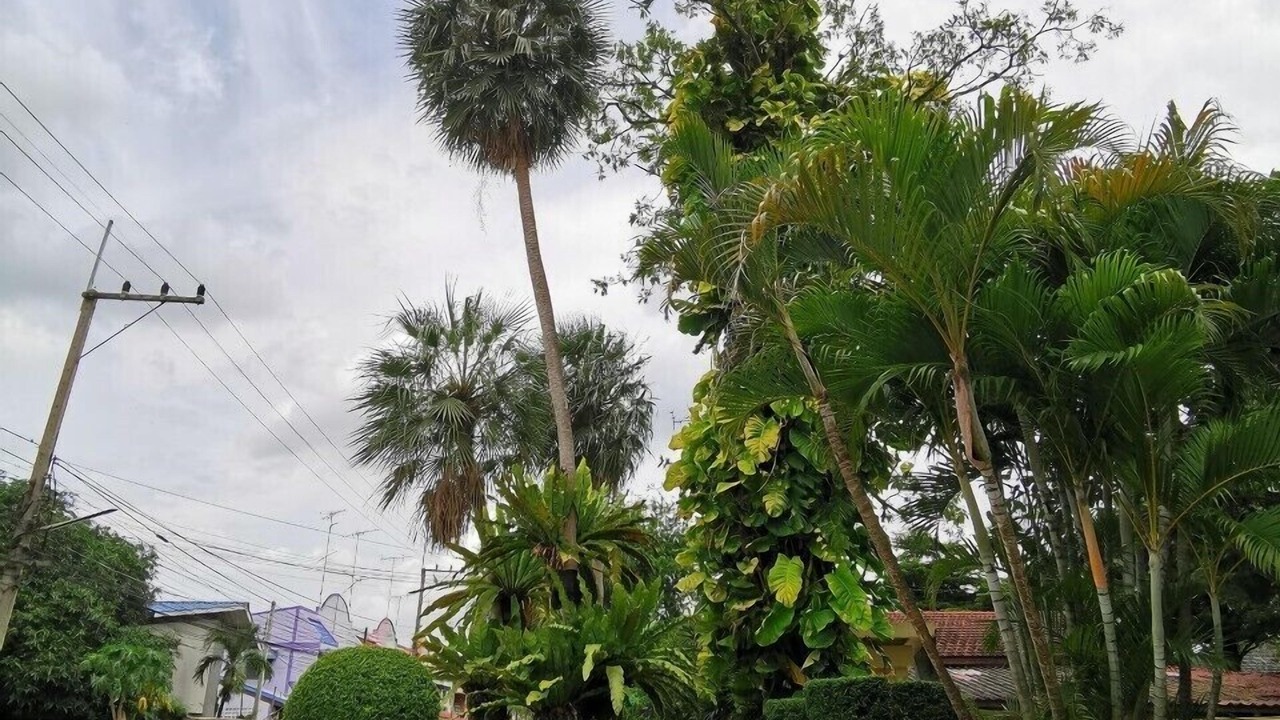Photo of Outdoor in Bang Khla
