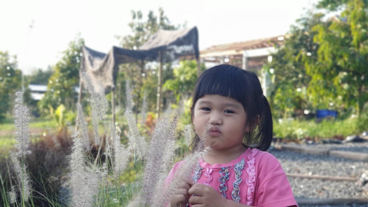 Photo of Outdoor in Mae Pong