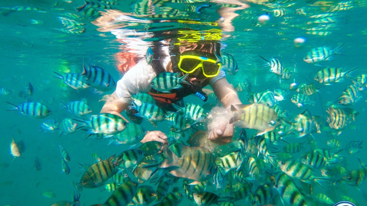 Photo of Others in Rayong