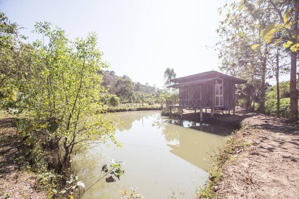 Photo of Outdoor in Mae Taeng