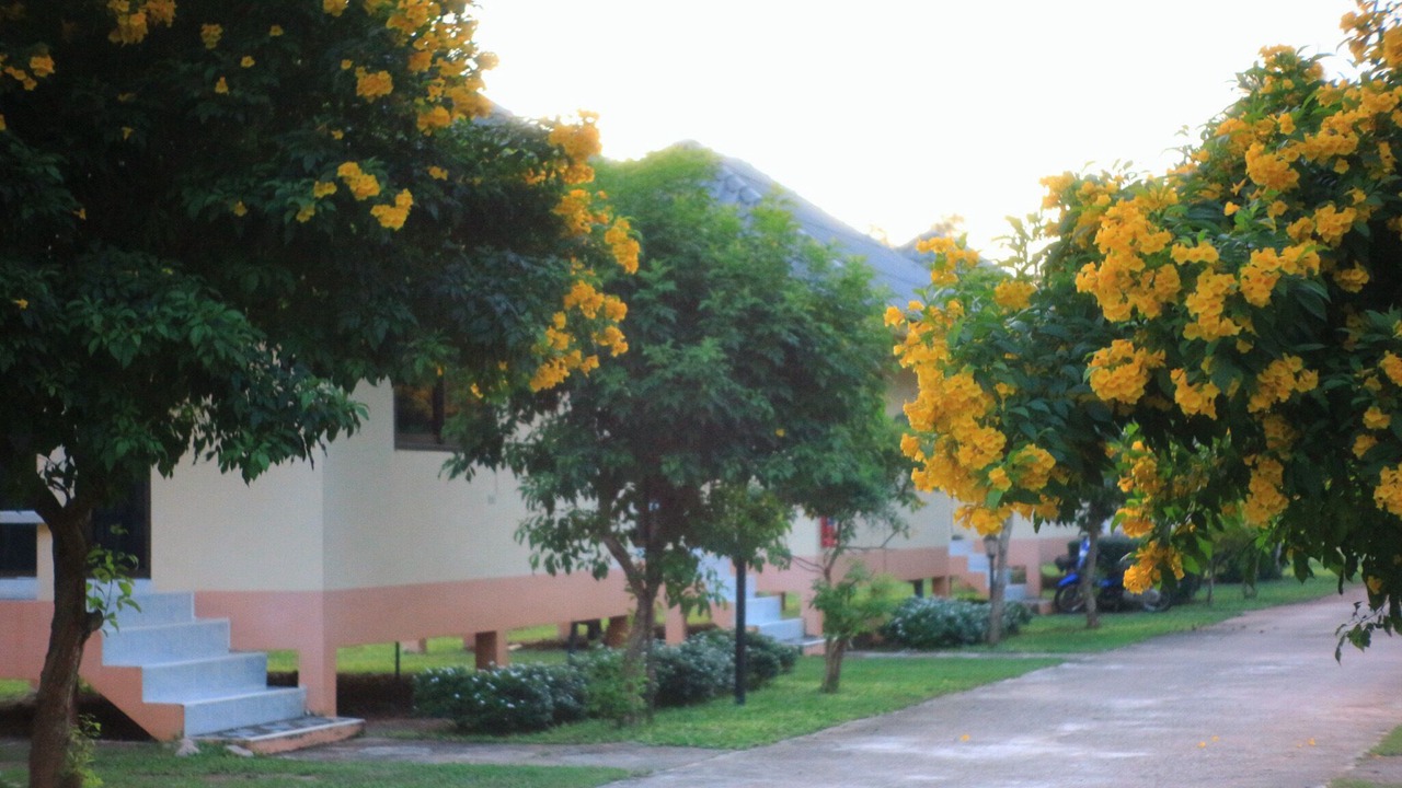 Photo of Outdoor in Saphli