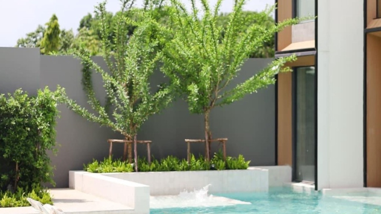 Photo of Outdoor in Chiang Rai
