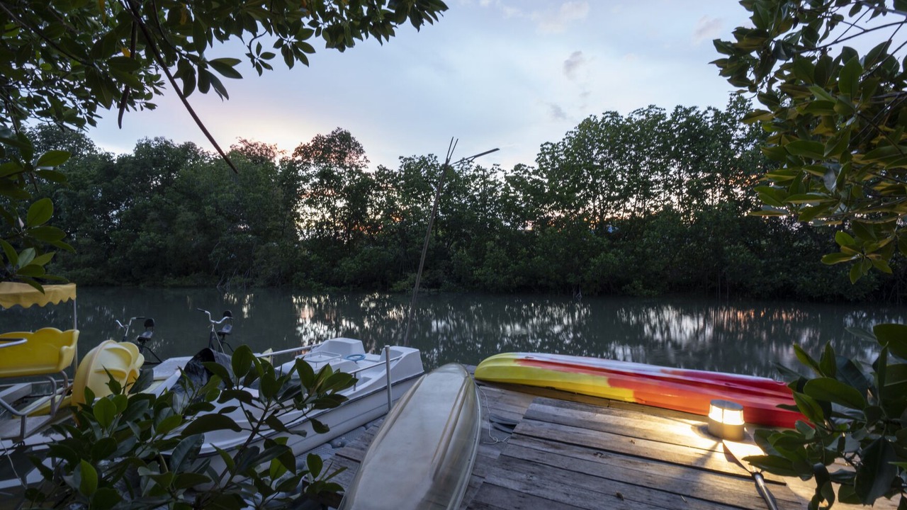 Photo of Outdoor in Laem Phak Bia