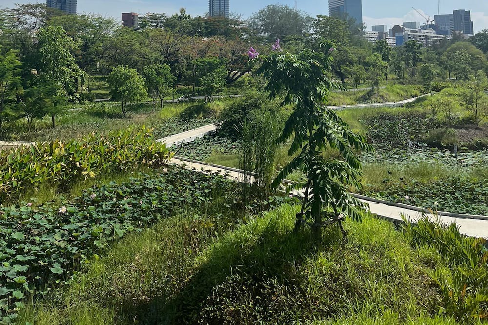 Photo of Outdoor in Nana