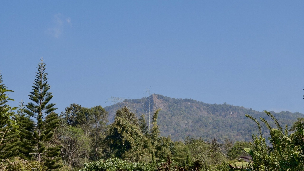 Photo of Outdoor in Pong Yaeng