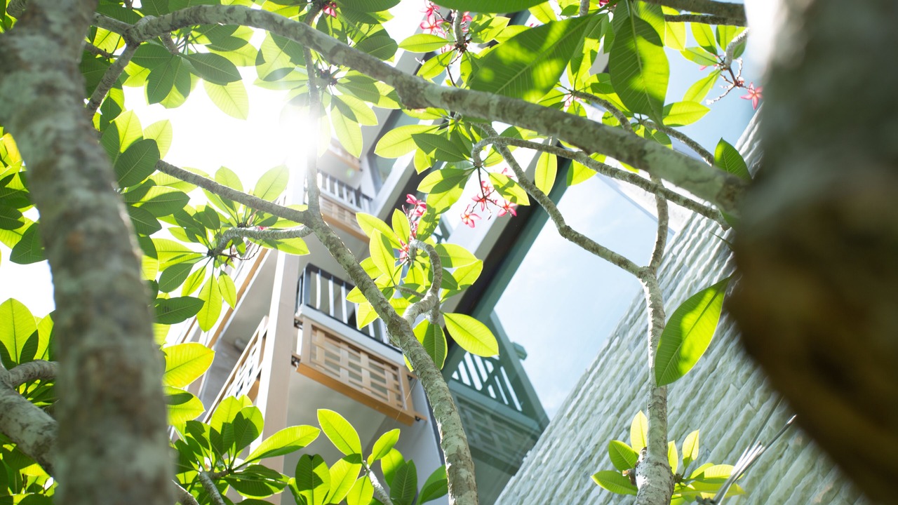Photo of Outdoor in Suan Luang