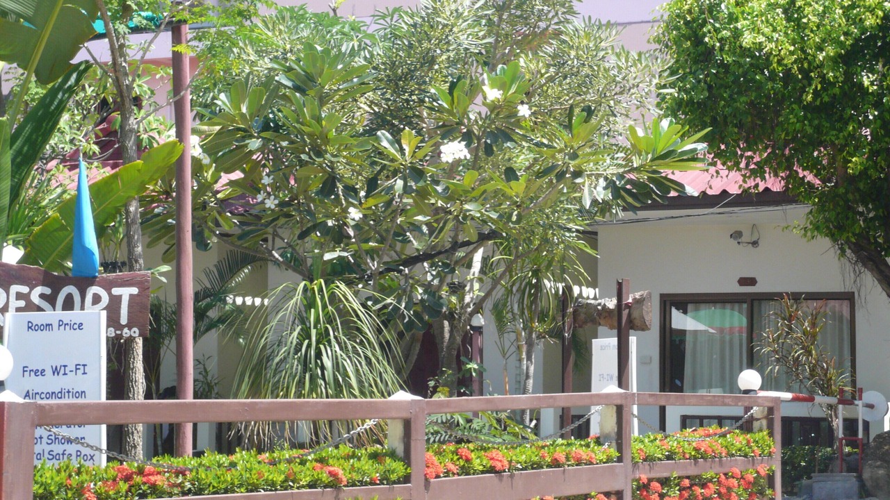 Photo of Outdoor in Lamai City Center