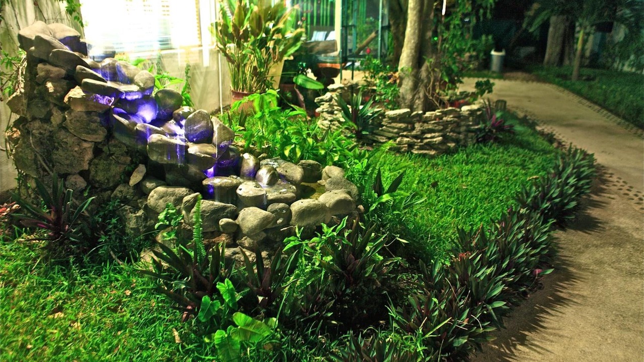 Photo of Outdoor in Calderitas