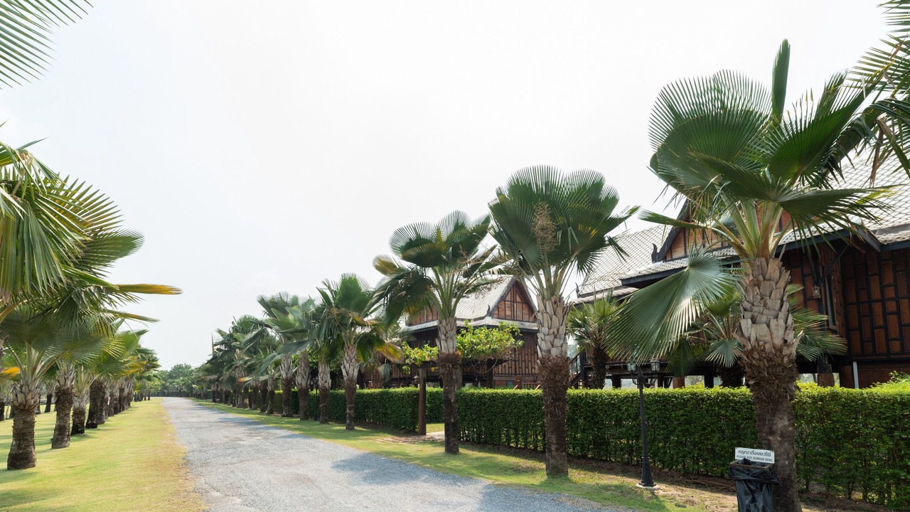 Photo of Outdoor in Khlong Khuean