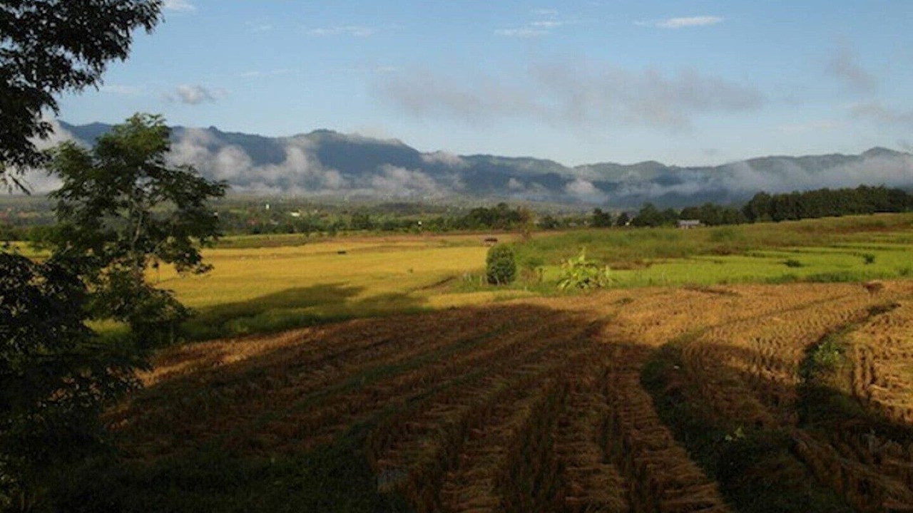 Photo of Outdoor in Pai