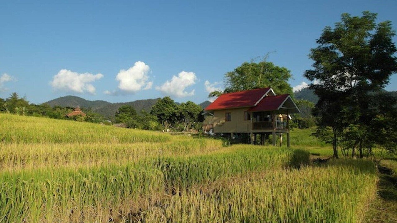 Photo of Outdoor in Pai