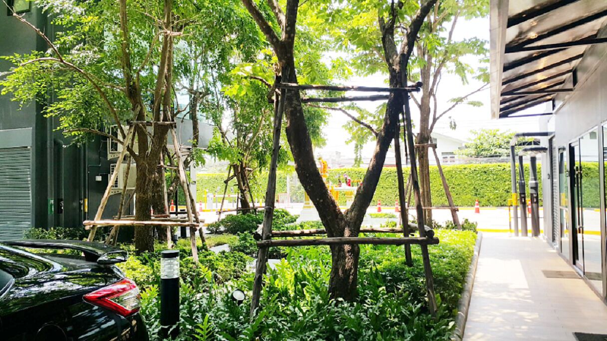 Photo of Outdoor in Bang Na
