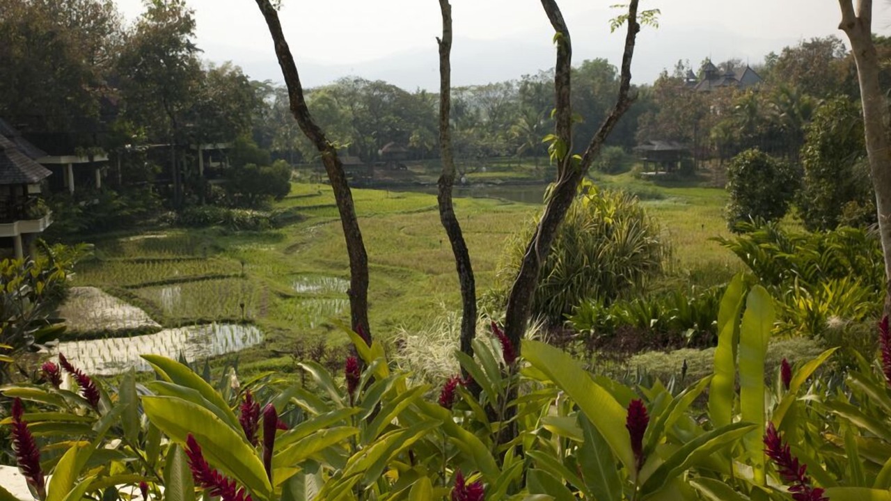 Photo of Outdoor in Mae Rim