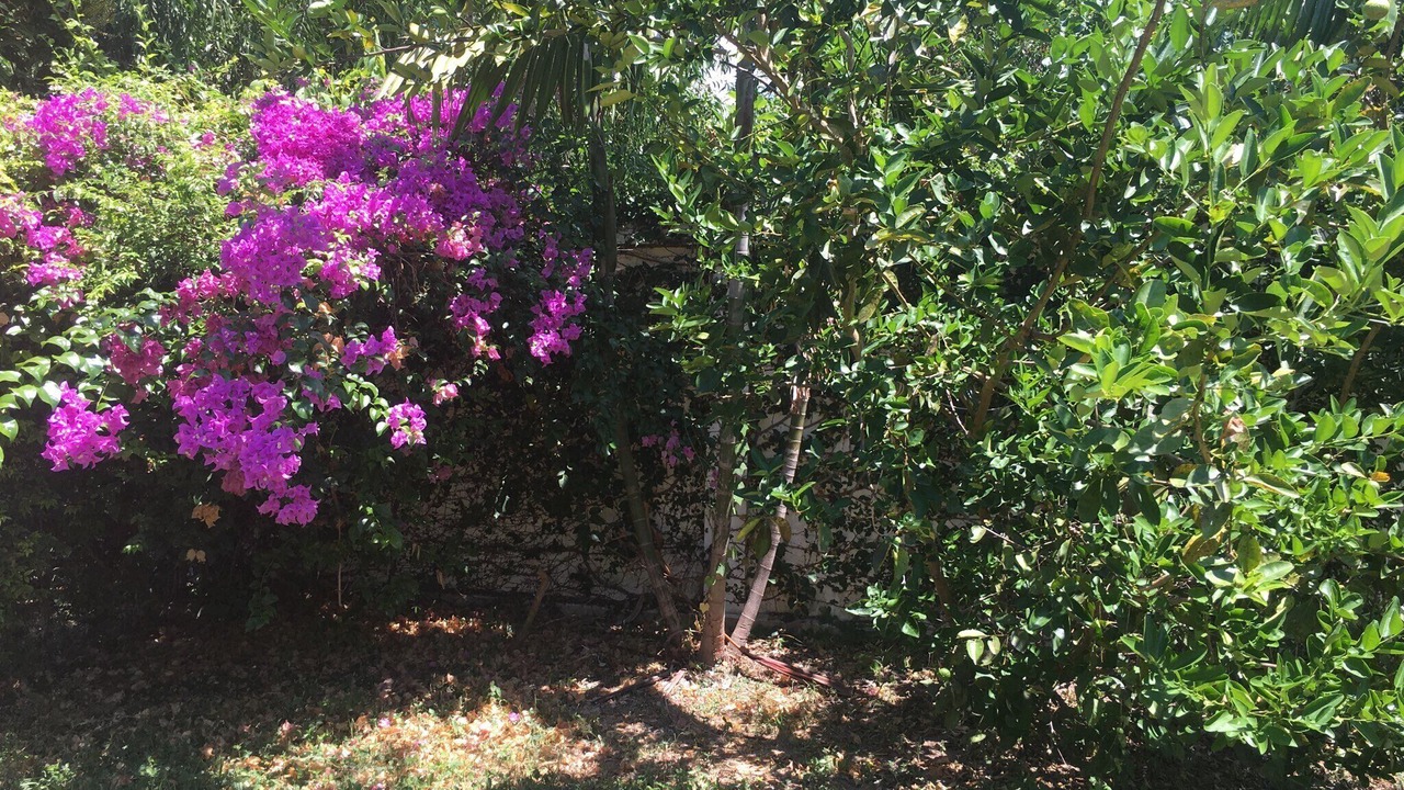 Photo of Outdoor in Rayong