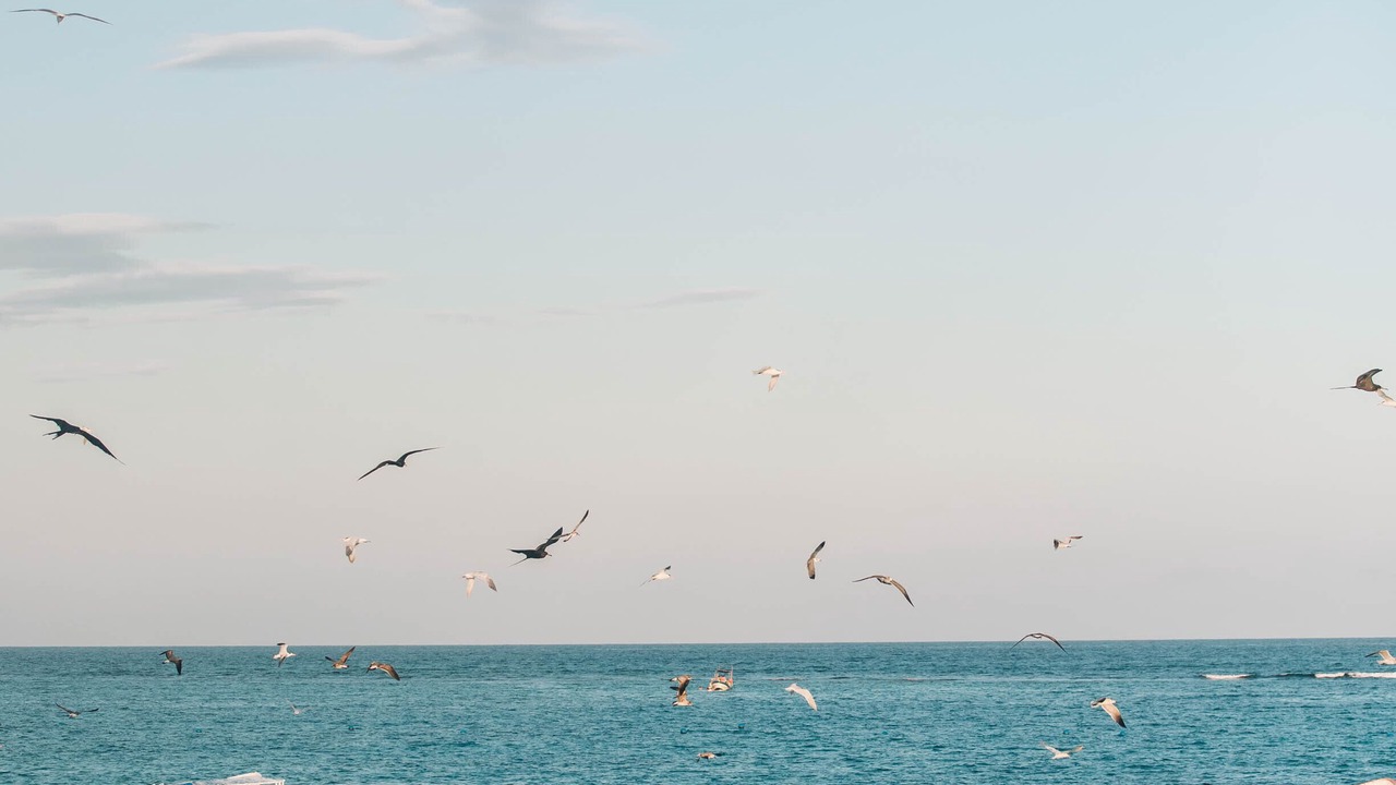 Photo of Others in Playa Paraiso