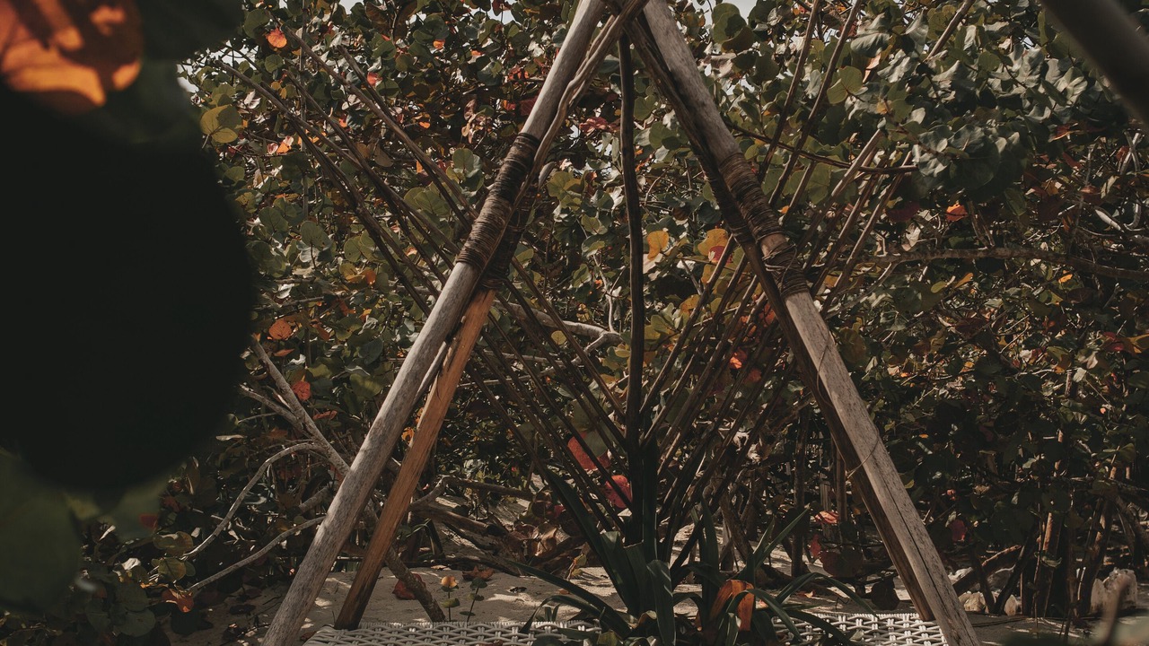 Photo of Outdoor in Playa Paraiso