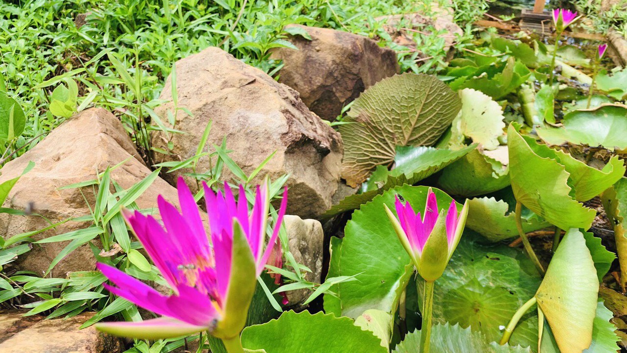 Photo of Outdoor in Nuea Khlong