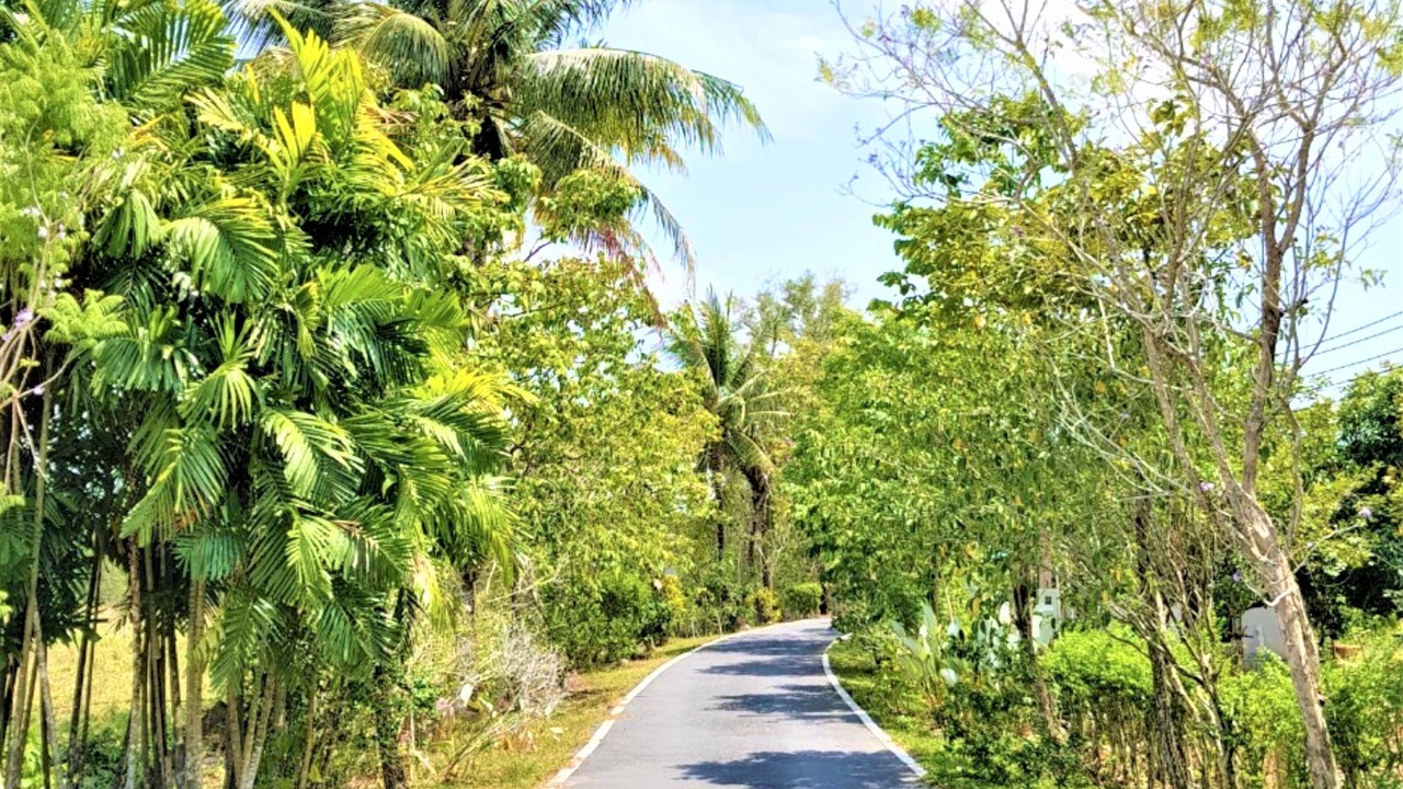 Photo of Outdoor in Khok Kloi